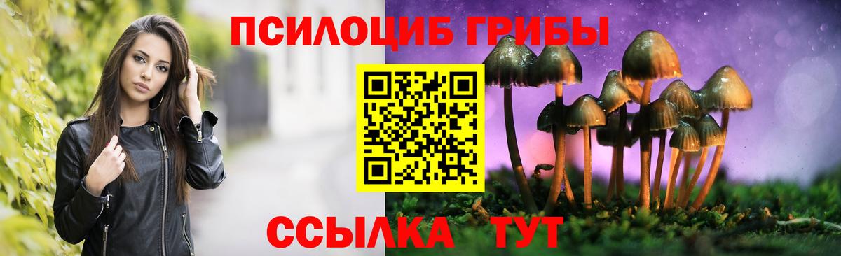 дарнет шоп  Псилоцибиновые грибы мицелий  Оренбург  Вход с VPN  Псилоцибиновые грибы Cubensis 